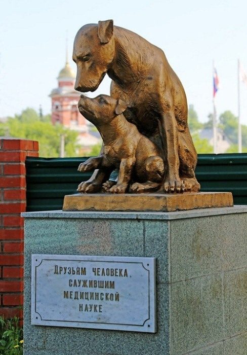 Памятники животным, установленные в странах СНГ
