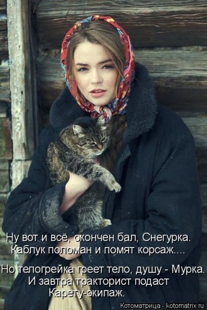 Лучшие котоматрицы за прошедшую неделю