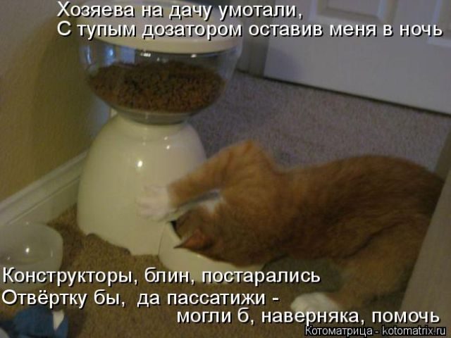 Лучшие котоматрицы за прошедшую неделю