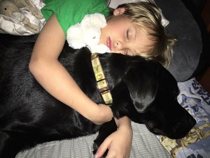 Ночью пёс поднял хозяйку с кровати, рядом погибал ее сын