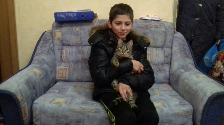 Бездомный кот спас мальчика