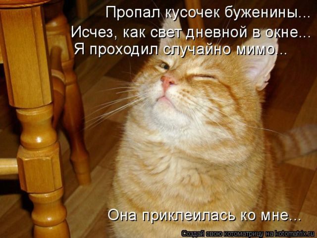 Лучшие котоматрицы за прошедшую неделю