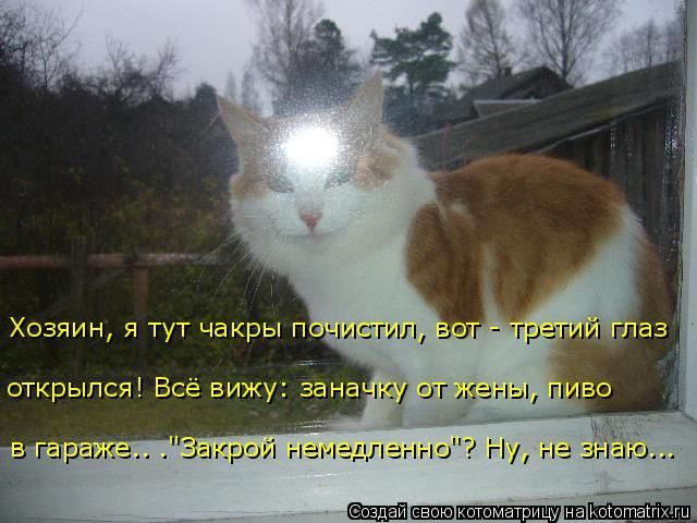 Лучшие котоматрицы за прошедшую неделю