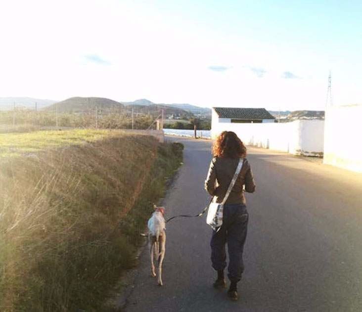 Собака шла 3 км, чтобы привести людей к своим щенкам