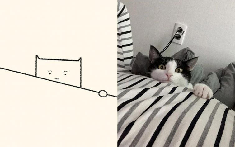 Забавные рисунки кошек