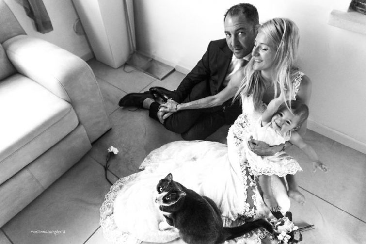 Невесты и кошки