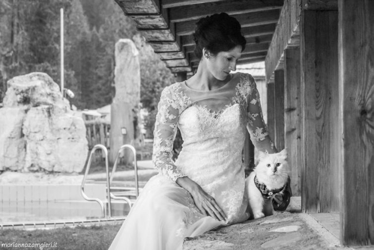 Невесты и кошки
