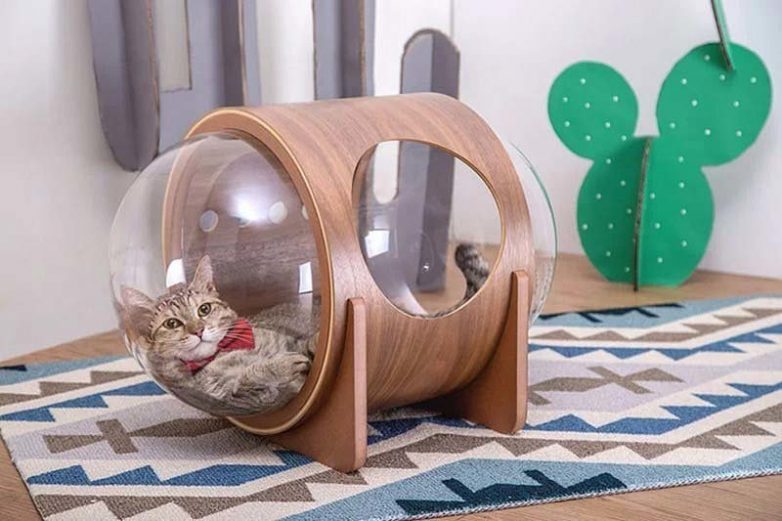 Домики для кошек