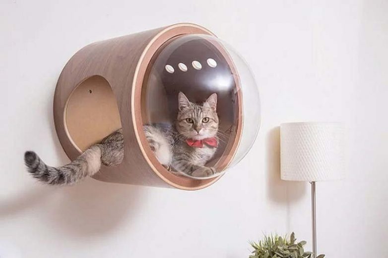 Домики для кошек
