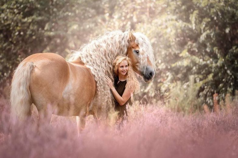 Лошадь, у которой очень красивая грива