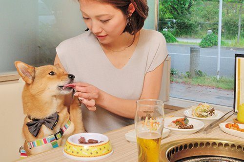 Ресторан, где можно пообедать вместе с собакой