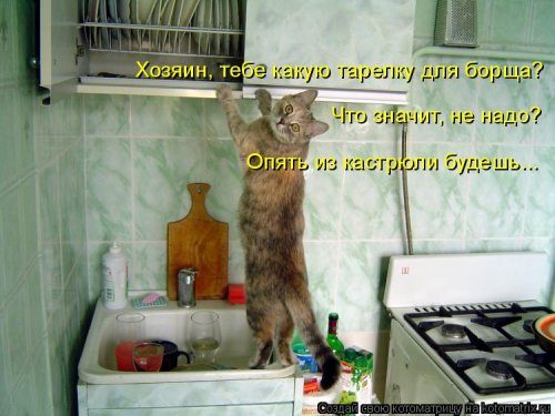 Коллекция лучших котоматриц недели