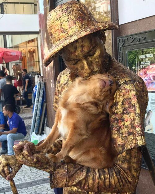 Собачка, которая помогает своему хозяину, уличному артисту, изображать живую статую