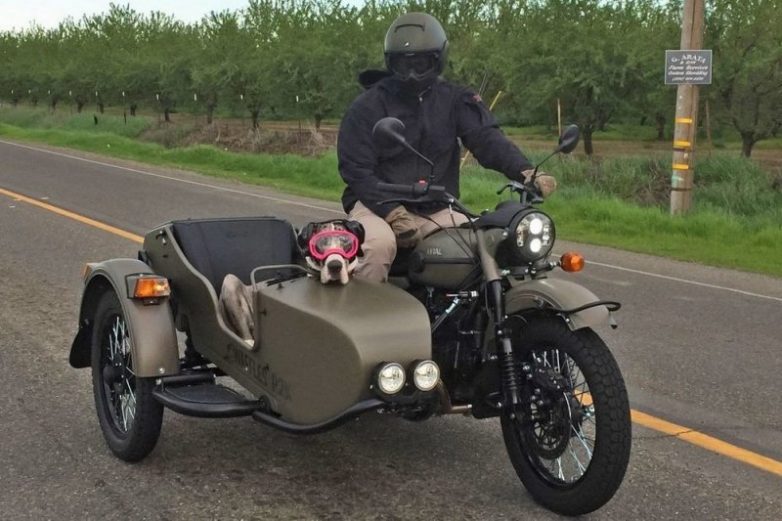 Пёс со своим хозяином колесит по Калифорнии в коляске мотоцикла &quot;Урал&quot;
