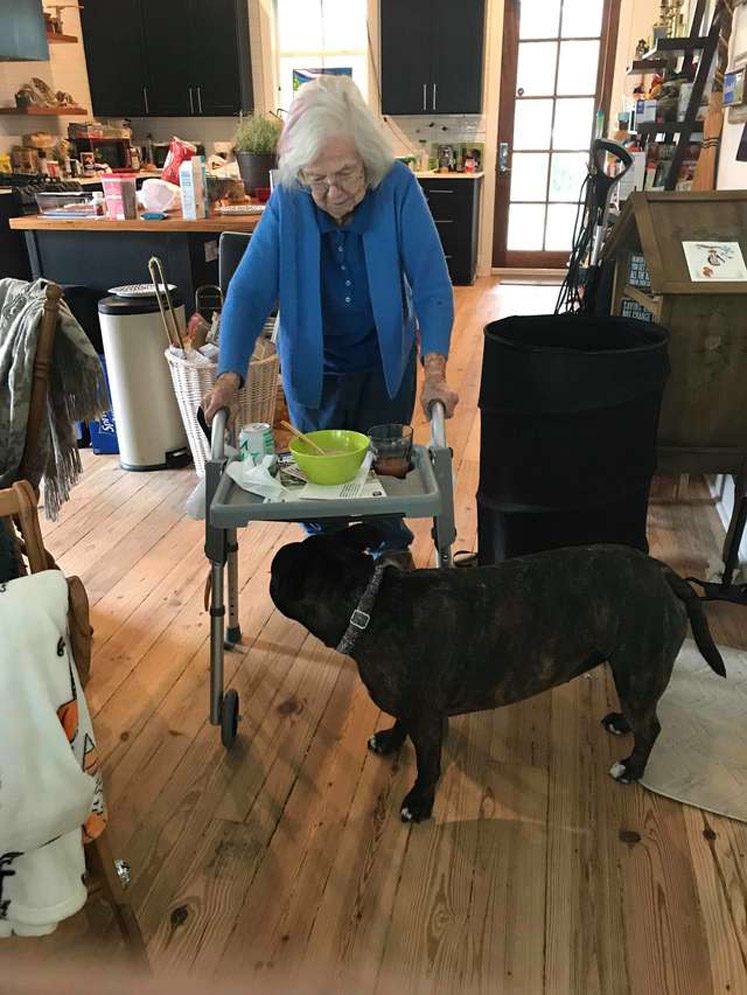 Пёс стал помощником у 90-летней старушки