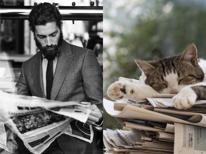 Мужчины и коты