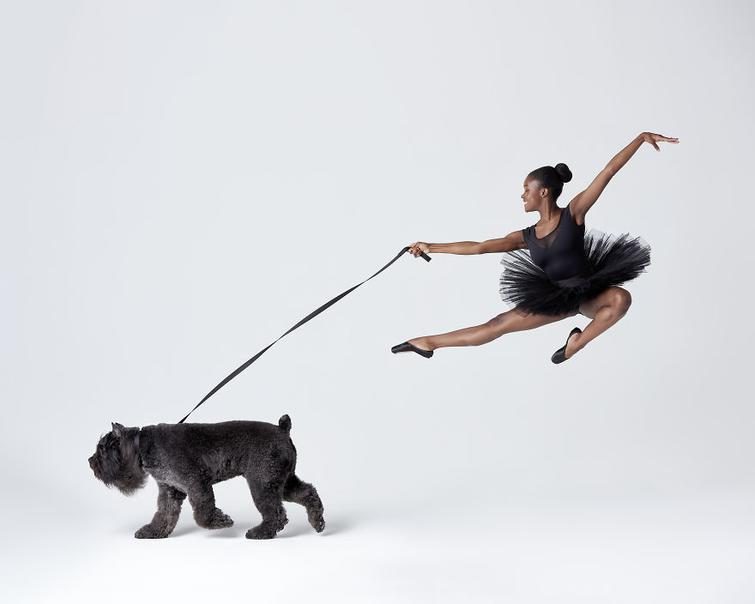 Танцоры балета и собаки