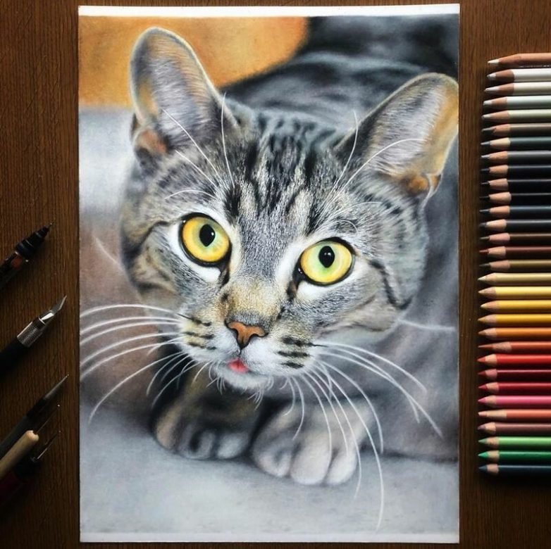 Невероятные портреты кошек
