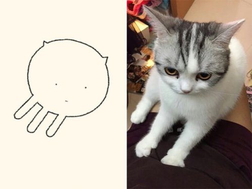 Точные рисунки кошек