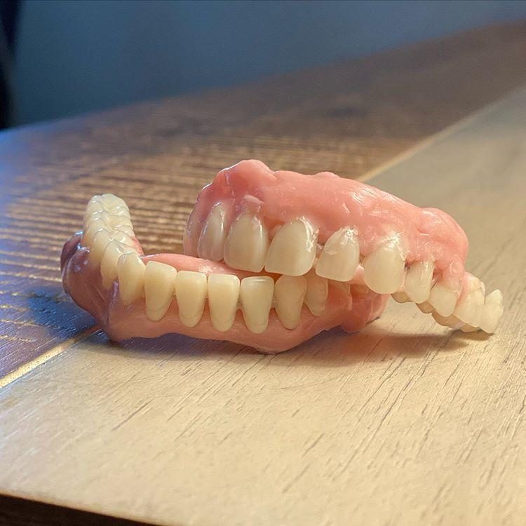 Собака украла зубные протезы хозяина