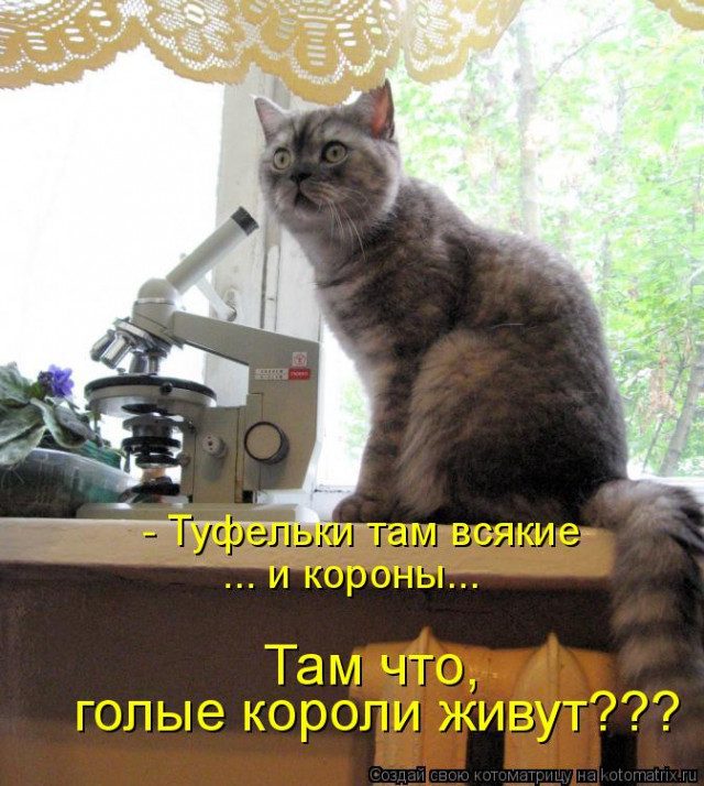 Новые котоматрицы для отличного настроения