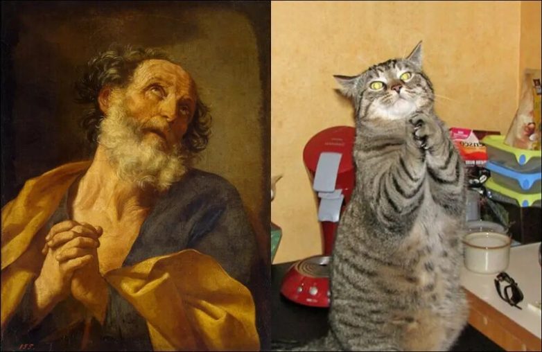 Котейки и искусство
