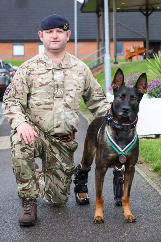 Служебный пес, который потерял задние лапы, спасая солдат в Афганистане