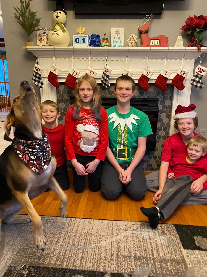 Собака бессовестно фотобомбит все рождественские фото семьи