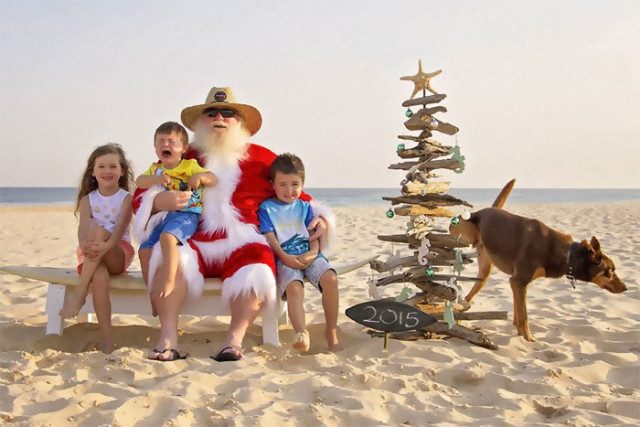 Рождественские фотобомбы с участием собак