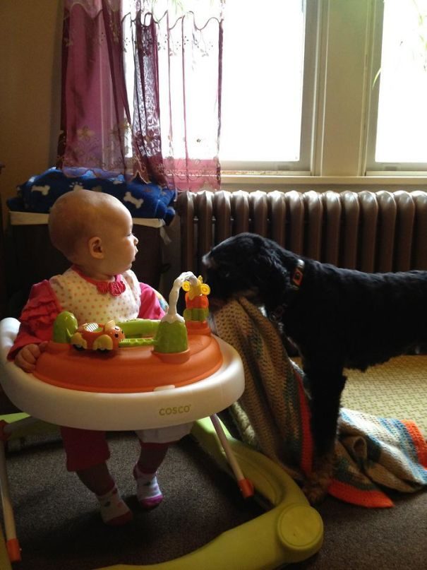 22 фото, доказывающих, что для счастья ребёнку нужна собака