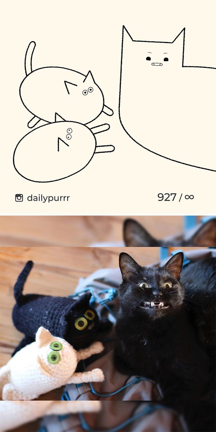 20 глупых рисунков кошек из мемов, которых перерисовали смешным образом