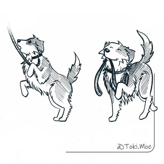 Художник, показывающий с помощью комиксов, каково жить с кошкой и собакой