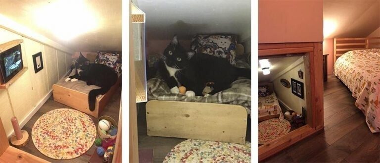 Крохотная спальня для кошки