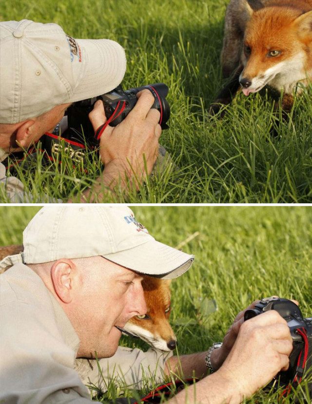 Коллекция фотографий с животными, которые подарят улыбку и поднимут настроение