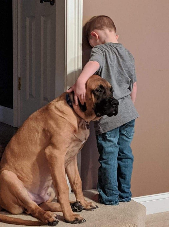 Трогательные снимки, которые покажут насколько крепкой может быть дружба между человеком и животным