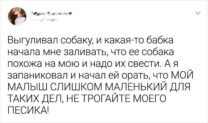 Ситуации, которые могли случиться только с владельцами собак