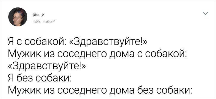 Ситуации, которые могли случиться только с владельцами собак