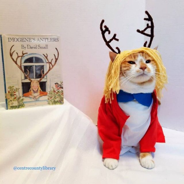 Библиотека привлекает посетителей, наряжая кота одного из библиотекарей в различных персонажей