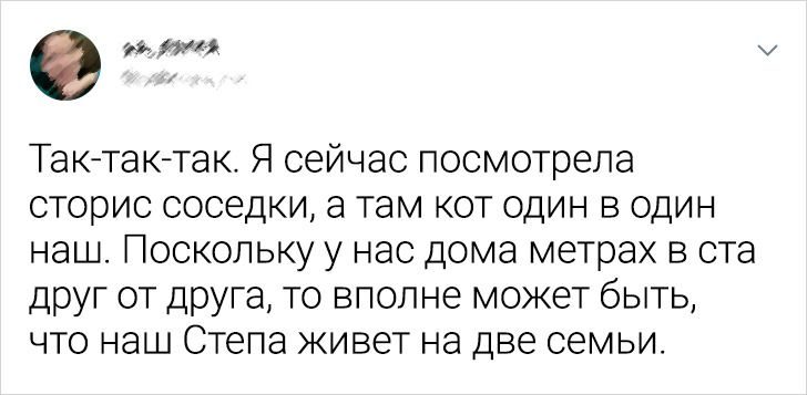 Коты, которые пришли в чужой дом и сделали вид, будто так и надо