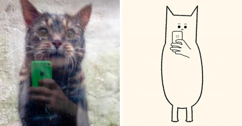 Смешные схематичные рисунки котов