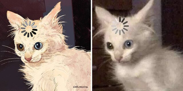 Мемные котики от Catwheezie