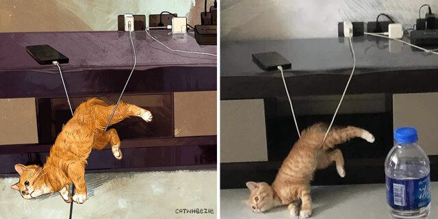 Мемные котики от Catwheezie