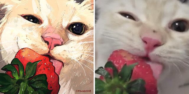 Мемные котики от Catwheezie