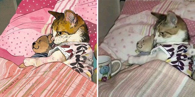 Мемные котики от Catwheezie