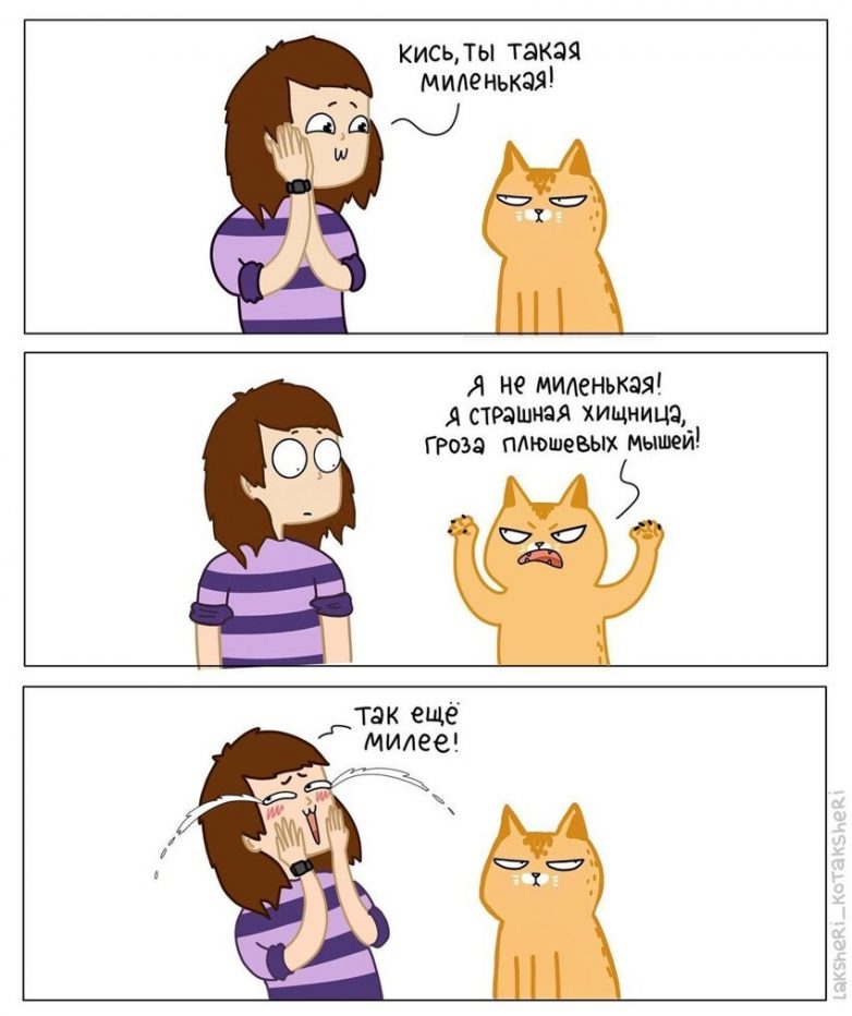 Забавнейшие комиксы о своих котах
