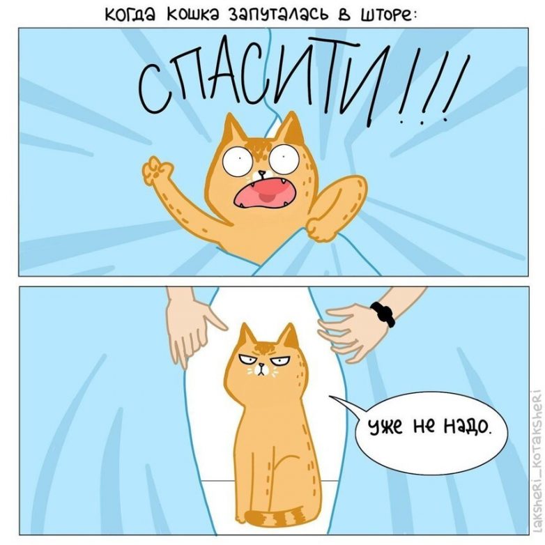 Забавнейшие комиксы о своих котах