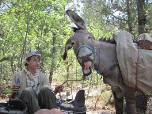 Позитив в фотографиях с животными