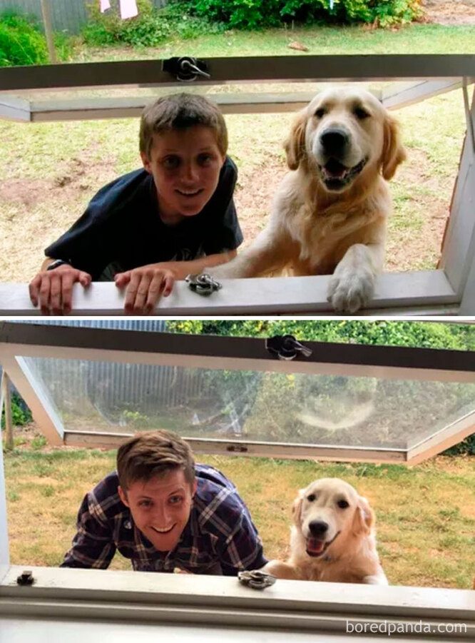 Трогательные фотографии собак и их хозяев в начале дружбы и через много лет