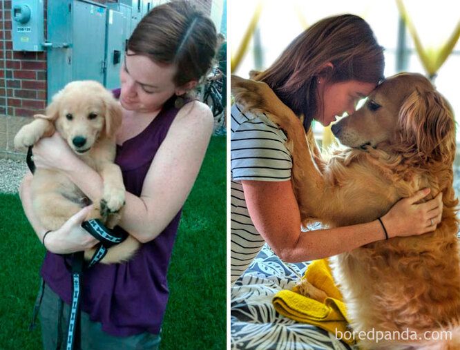 Трогательные фотографии собак и их хозяев в начале дружбы и через много лет