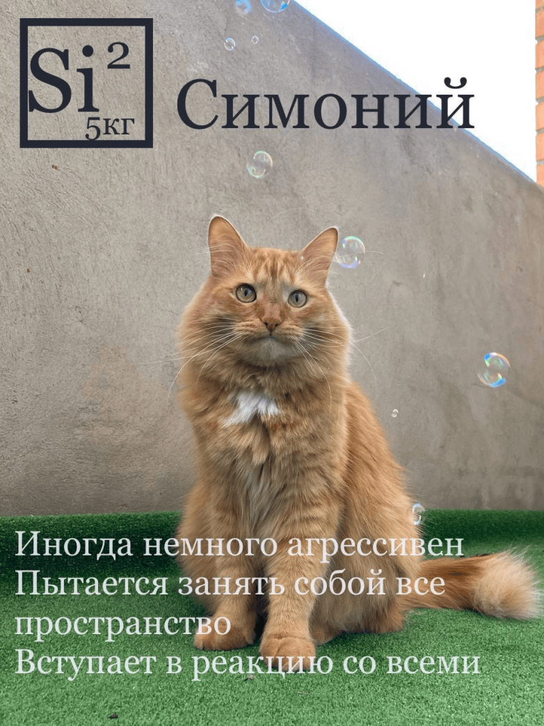 Система химических КОТОэлементов